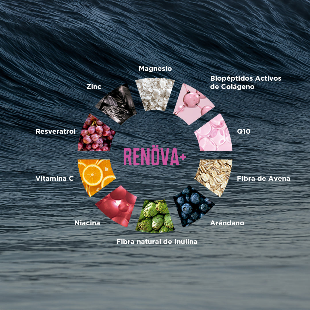 RENÖVA+ DOYPACK | Colágeno Hidrolizado con Biopéptidos Activos, Resveratrol y Coenzima Q10